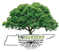 Logo of TN Nursery with a tree and state outline