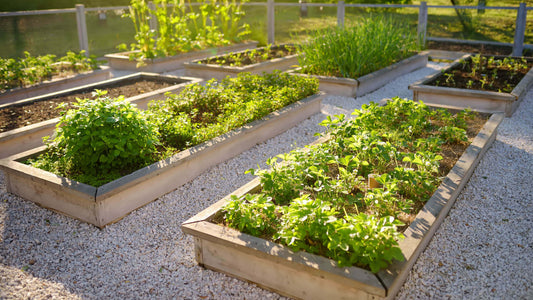 How to Build Your Own Raised Garden Beds for Improved Planting