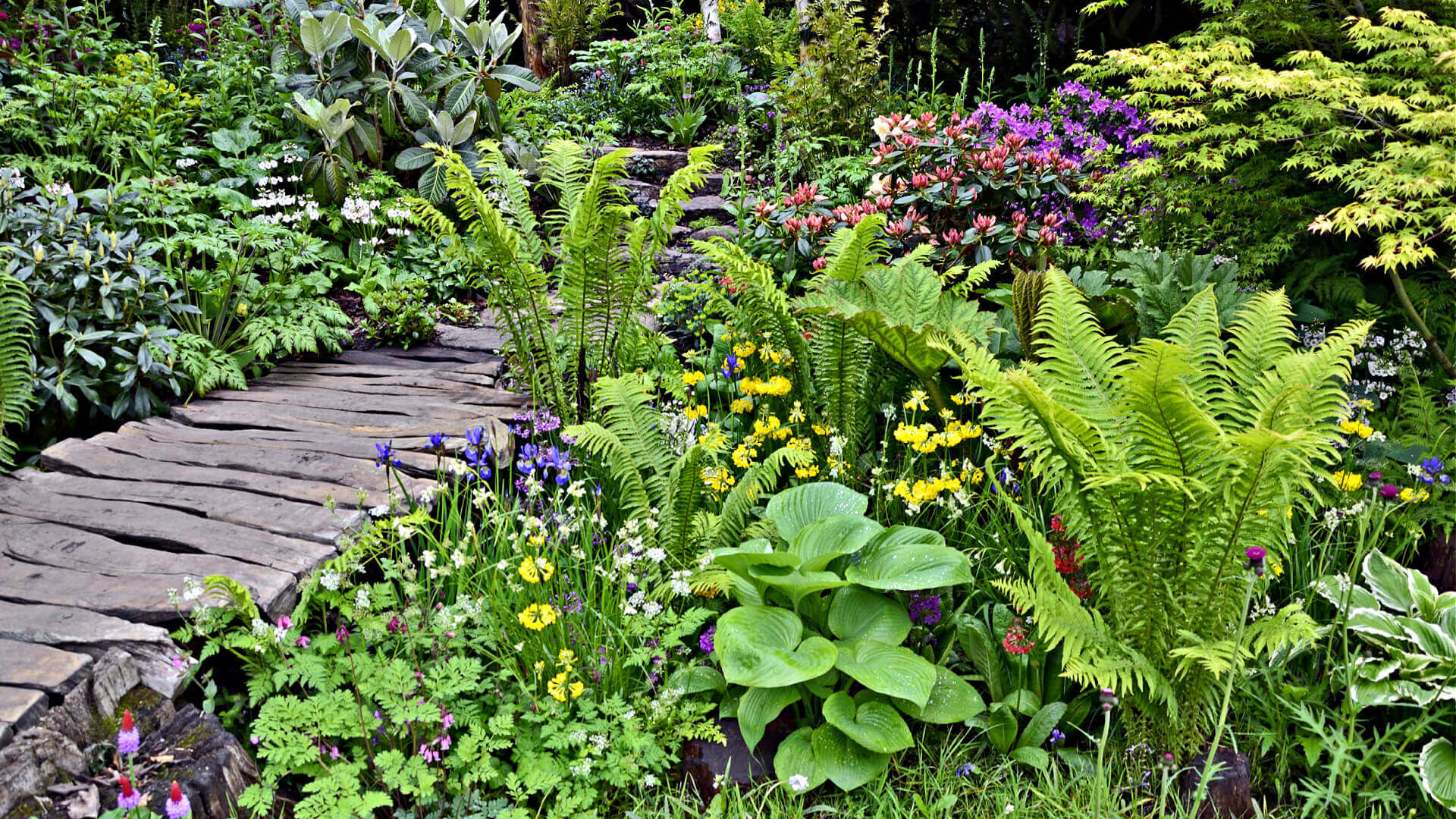 Rustic stone path winds through tranquil fern garden with vibrant flowers