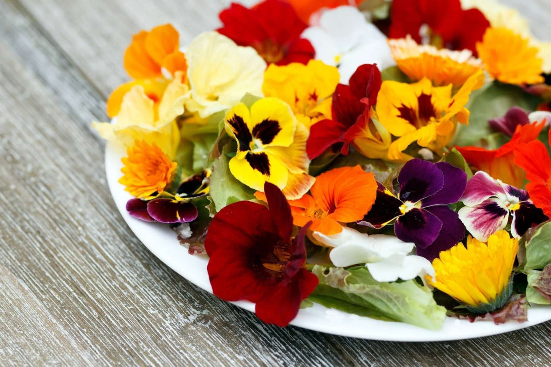Blossoms on the Plate