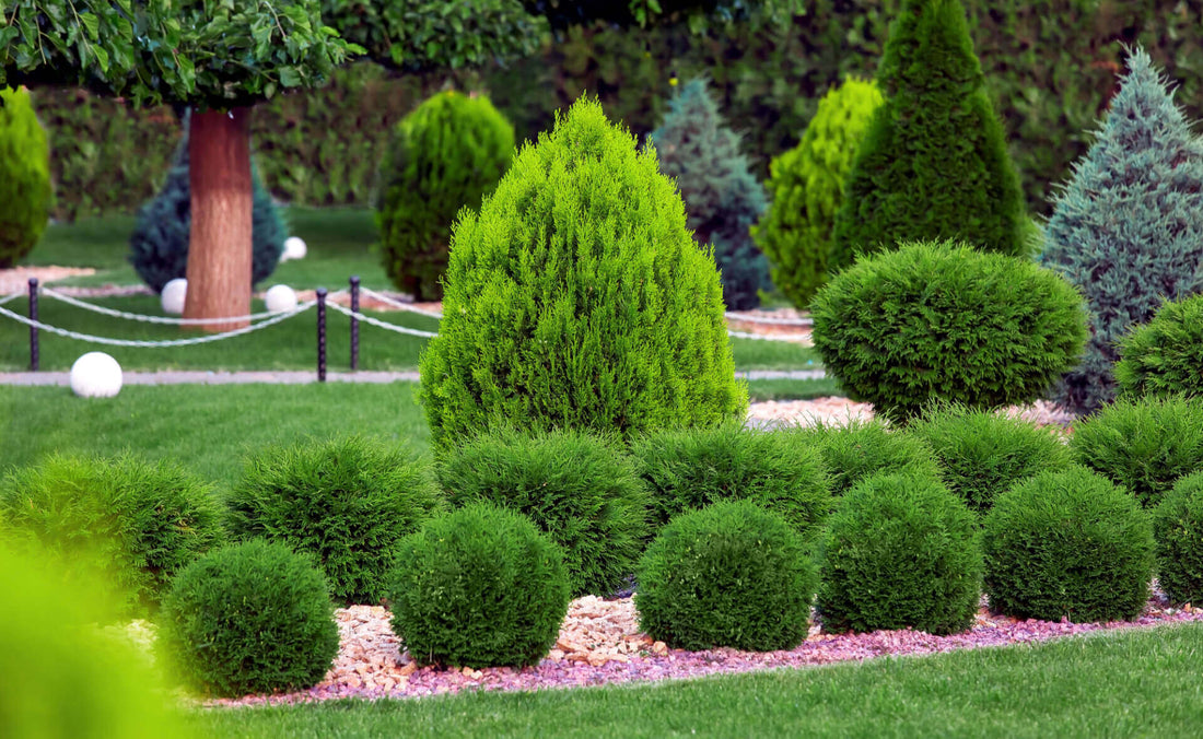 Split-Level Landscaping