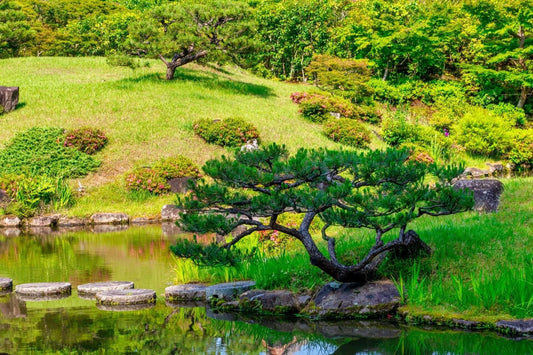 How To Create A China Garden