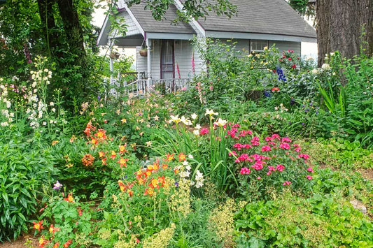 What is Chaos Gardening and The Environmental Benefits