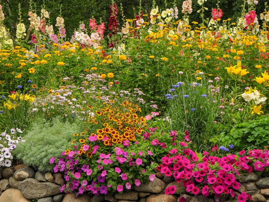 Consider The Best Perennials For Your Landscape