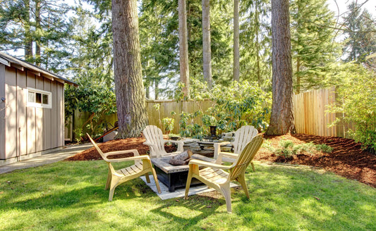 The Best Trees for Backyards