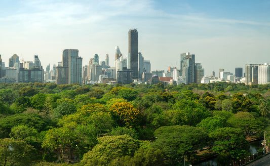 Urban Tree Canopy: Benefits, Challenges, and Tree Varieties for a Greener Future