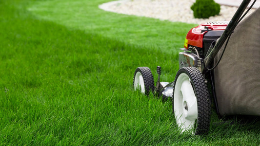 Lawn Maintenance Tips and Techniques
