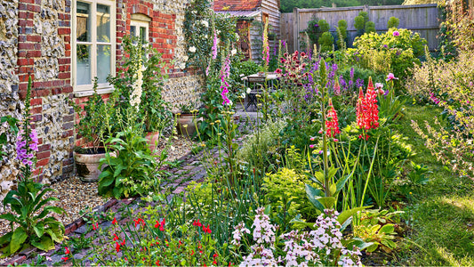 Cottage Gardens: A Timeless Celebration of Natural Beauty