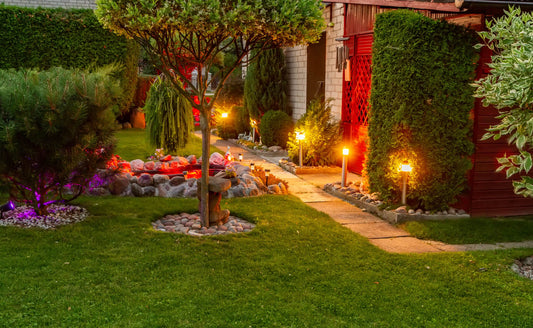 Creating an Enchanting Night Garden