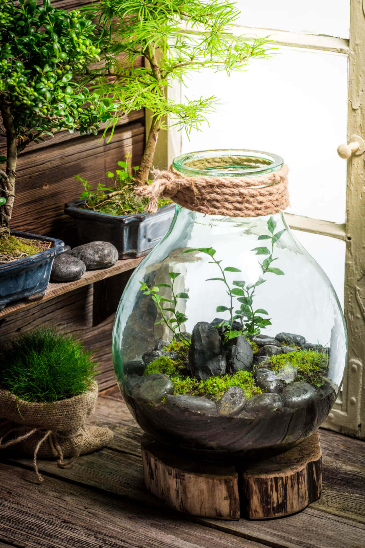 Clear glass terrarium with rope-wrapped neck, mossy rocks and green plants
